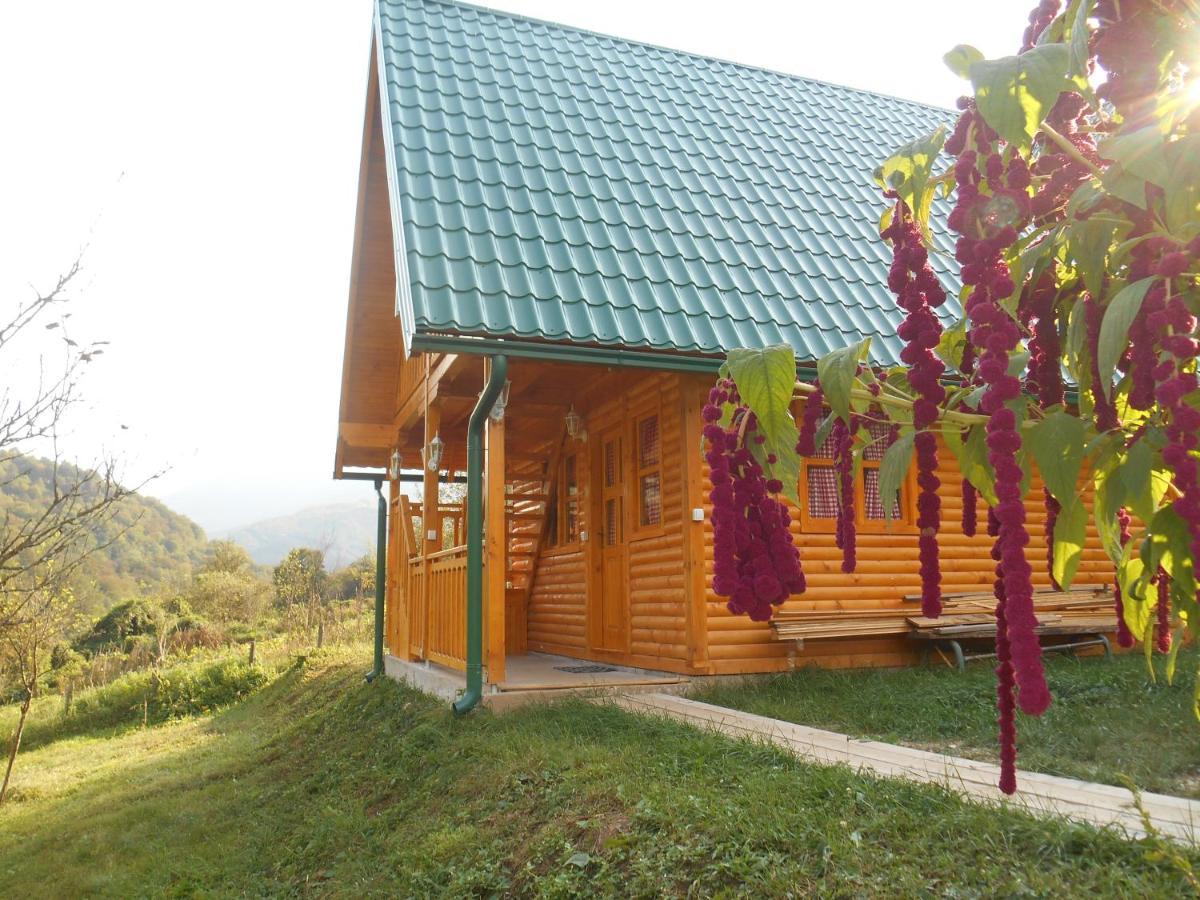 Motel Bavaria Foca Exteriér fotografie